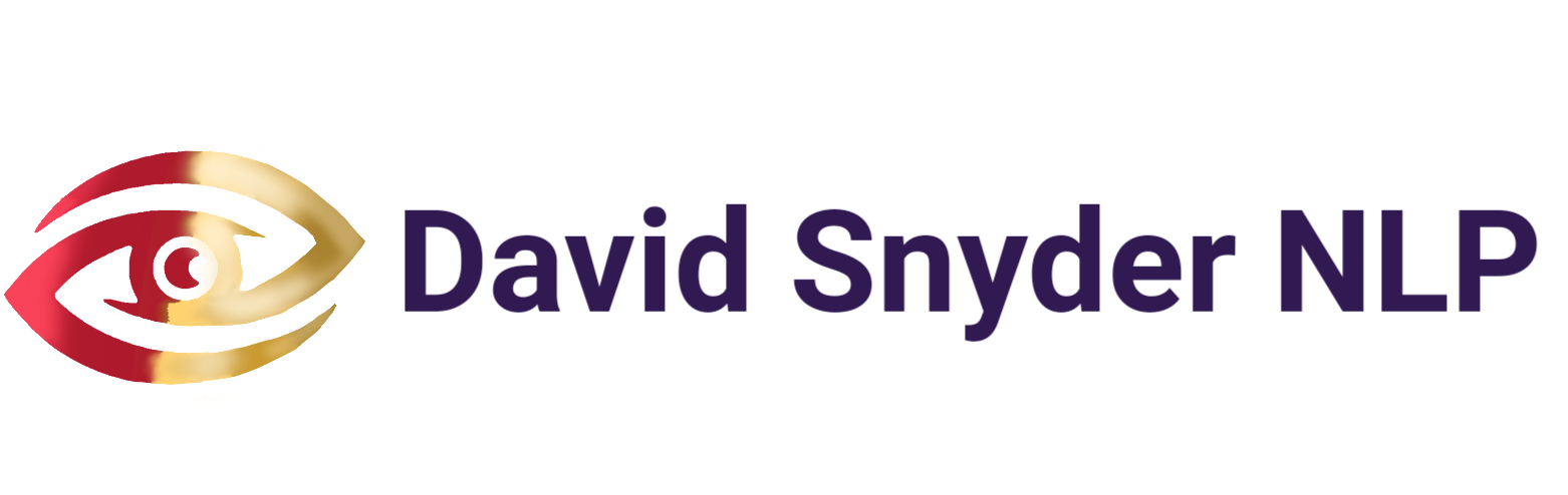 David Snyder HTLIVE Video Archive
